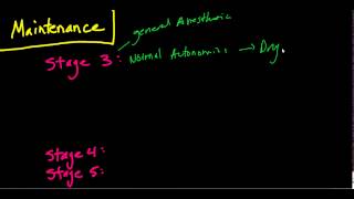 The Stages of Anesthesia The Basics Guedels Classificaiton [upl. by Yasui]