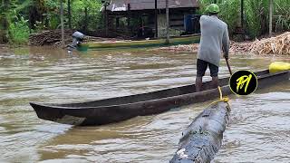 El Chocó bajo el agua y la amenaza del ELN [upl. by Wilmott180]