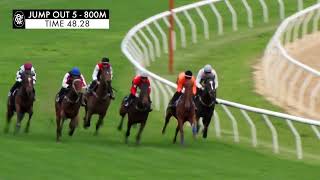 Flemington Jump Outs 1 Nov 2024 Jump Out 5 [upl. by Gereld719]