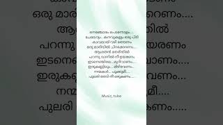 Thaniye mizhikal music malayalam love mudhalneemudivumneesong lyrics [upl. by Repinuj530]