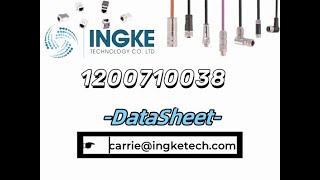 1200710038 DataSheet  ingketechnet [upl. by Marsland992]