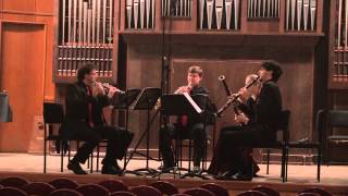 Giulio Briccialdi  Wind Quintet in D major Op 124 [upl. by Udelle]