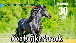 Paardenspektakel Kootwijkerbroek  2024 [upl. by Ecnerolf]