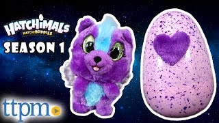 Hatchimals Hatchibuddies Season 1 Review  Spin Master Toys [upl. by Radack419]