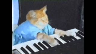 Scatman Cat Mashup SPED TO 2x [upl. by Borgeson293]