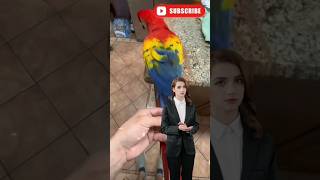 Watch This Before Asking Why Your Parrot Died macawdiet macawcare parrotcare parrots macaw [upl. by Leith]