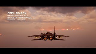 Project Wingman  Mission 14 Open Season [upl. by Ute]