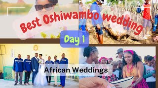 Namibian best weddings African Traditional fancy weddings [upl. by Osei]