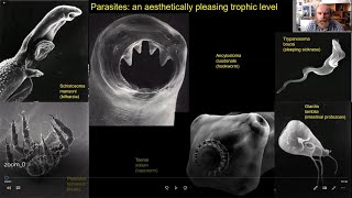 Novotny Community Ecology Lectures 01 Parasitism [upl. by Meesan941]