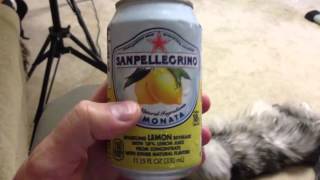 Sanpellegrino Limonata Review [upl. by Maiah282]