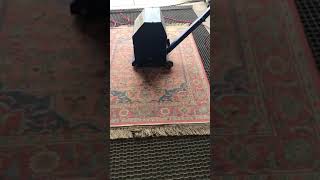 Cleaning a Very Dirty Karastan Rug [upl. by Aillil892]