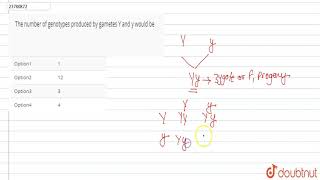 The number of genotypes produced by gametes Y and y would be [upl. by Naivaj]