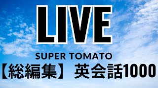 【総編集英会話1000】 初心者英会話 ただ聞くだけ 初級英語英語基礎生活英語 [upl. by Anahpets]