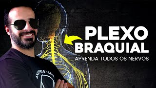 Plexo Braquial  Anatomía [upl. by Ohs]