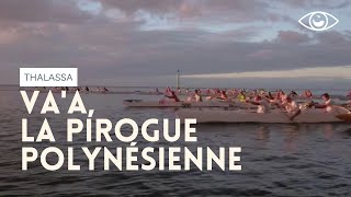 Vaa la pirogue polynésienne  Thalassa [upl. by Enrev]