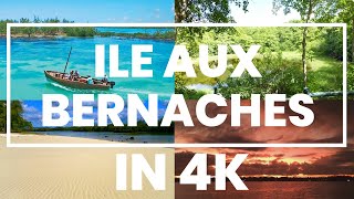 Ile Aux Bernaches Mauritius in 4K [upl. by Oberg]