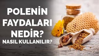 POLEN NASIL KULLANILIR Polenin Faydaları [upl. by Minta]