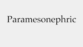 How to Pronounce Paramesonephric [upl. by Anirda472]