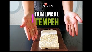 How to make Tempeh at home [upl. by Neeroc]