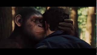 Planet Of The Apes  Caesars Parting Words Meme [upl. by Liuqnoj88]