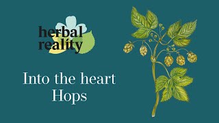 Hops Rest and Digest [upl. by Eugenle]