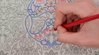 Enchanted Forest by Johanna Basford coloring floral pattern [upl. by Harvison]