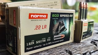 Fastest 22LR Ive ever seen 😳😳😳  Norma ECO Speed22 [upl. by Apfelstadt709]