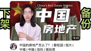 【小lin说下架】中国的房地产怎么了？碧桂园恒大中植中融信托城投债 [upl. by Chandra928]