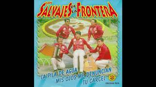 Salvajes de la Frontera  20 Exitos Disco Completo [upl. by Ariam]