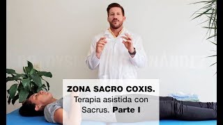 Zona Sacro Coxis Terapia asistida con Sacrus Parte I [upl. by Eiclehc517]