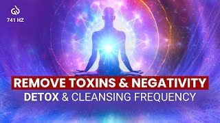 741 Hz Healing Frequency Music Remove Toxins amp Negativity Detox amp Cleansing [upl. by Monagan]