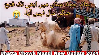 Bhatta Chowk Mandi Latest Update 2024 [upl. by Udall]