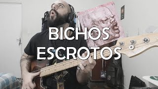 Bichos Escrotos Titãs BASS COVER [upl. by Hsakaa]