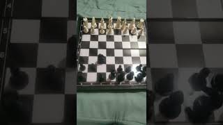 part 1 soller gambit chess [upl. by Palma]