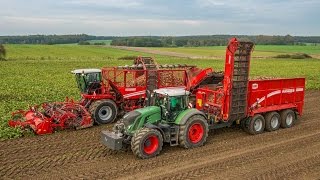 GRIMME REXOR 930 amp RUW 4000  selfpropelled 9row Beet Harvester amp Beet Transfer Trailer [upl. by Anelhtac]