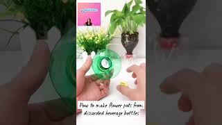 how to make flowers from discarded bottles [upl. by Canada]