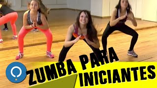 Aula de ZUMBA para INICIANTES [upl. by Mcferren]