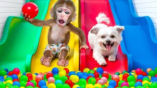 KiKi Monkey swimming at Ball Pit Pool and Rainbow Waterslide with Ducklings  KUDO ANIMAL KIKI [upl. by O'Mahony256]