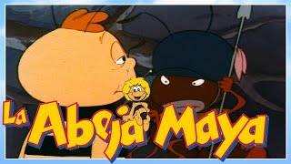 La abeja Maya  episodio 8  willie y las hormigas  capitulos completos en español latino [upl. by Wiersma]