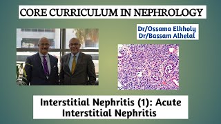 Interstitial Nephritis 1 Acute Interstitial Nephritis DrOssama Elkholy [upl. by Haiasi]