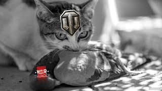 WOT PRO DESTROYS WARTHUNDER [upl. by Fondea]