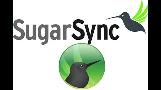 SugarSync  Кроссплатформенный Облачный Сервис [upl. by Inverson424]