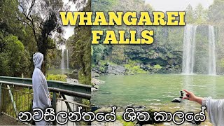 නවසීලන්තය ගත වන දවස්whangarei falls🤗 [upl. by Akili]