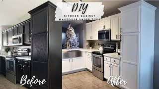 DIY KITCHEN MAKEOVER ON A BUDGET How To Paint Cabinets With A Paint Sprayer From Black To White [upl. by Awra]