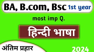 Ba bsc 1st year hindi important question 2024  hindi language imp questions [upl. by Eldorado]