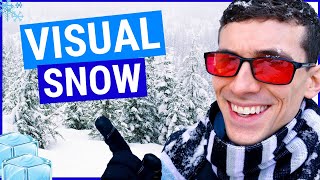 What is Visual Snow Symptoms and Treatments [upl. by Cobb]