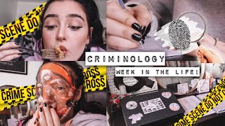 Week In The Life Of A Criminology Student Assignment Planning Part 1 [upl. by Elroy]