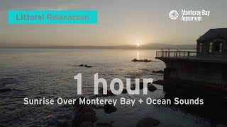 One Hour of Sunrise  Ocean Sounds from Monterey Bay to RelaxStudyWork To  Littoral Relaxocean [upl. by Orelu739]