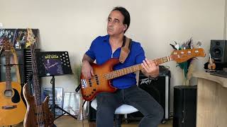 Mavi Duvar  Ayhan Yener Bass Cover [upl. by Sommers510]