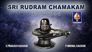 Sri Rudram Chamakam  S Prakash Kaushik amp P Mrinal Kaushik  Powerful Vedic Chants for Prosperity [upl. by Tabber235]